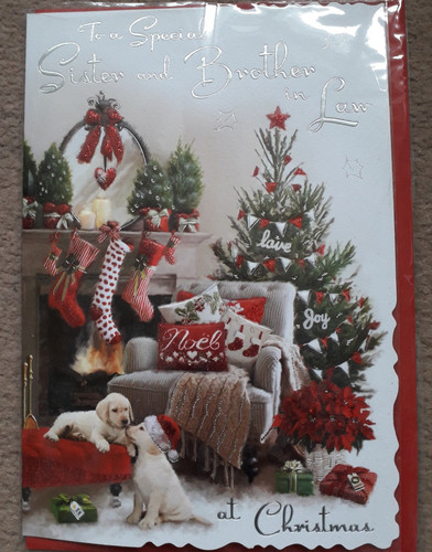 Jonny javelin christmas card - christmas,