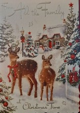 FROM ALL THE FAMILY CHRISTMAS