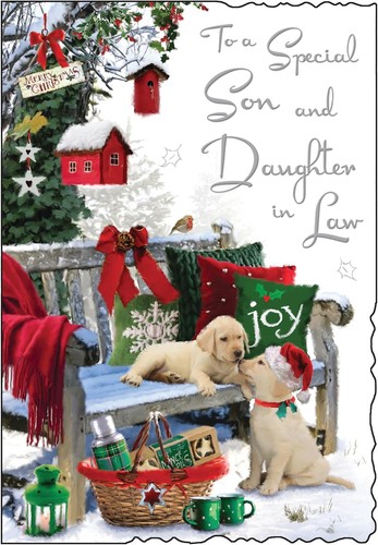Son and daughter law - son,